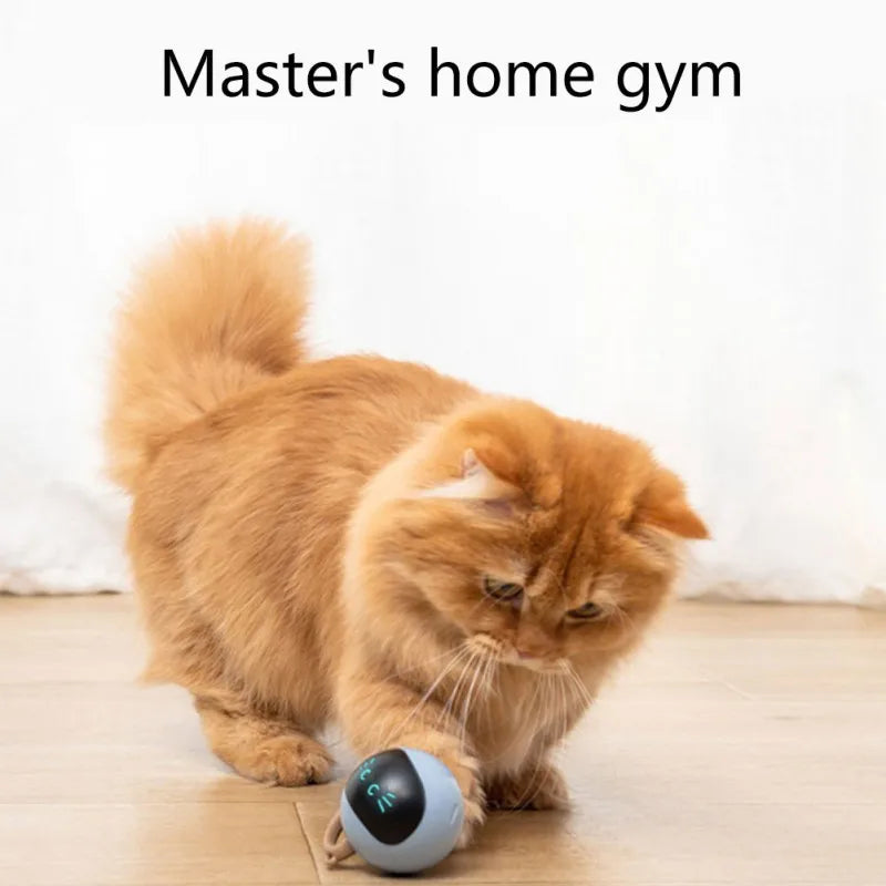 Smart Interactive Cat Toy Colorful LED Self Rotating Pet Ball Toys USB Rechargeable Kitten Automatic Ball Toys Cat Accessories