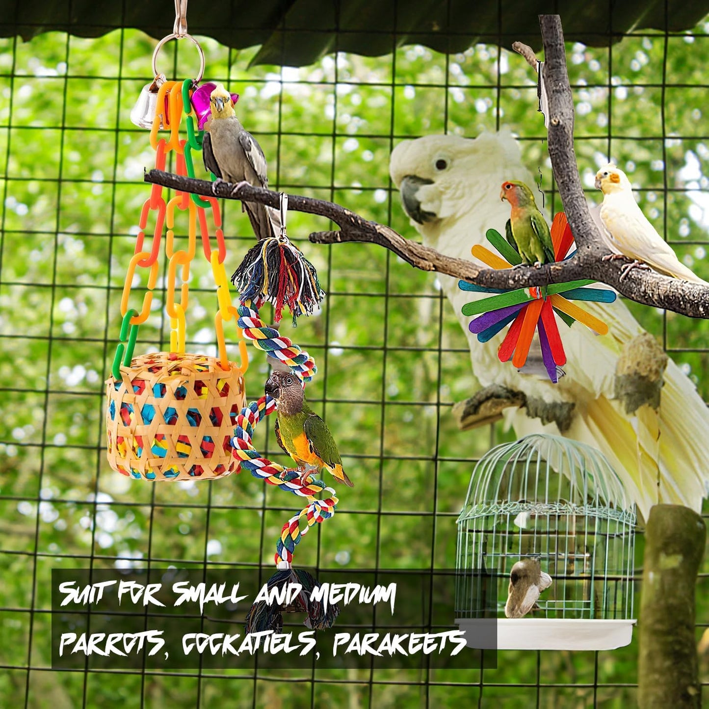 6 Pack Bird Toys for Parakeet, Parrot & Conure Delights- Featuring Foraging and Chewing Delights, Large Bird Accessories, and Unique Cage Perches for a Joyful Aviary