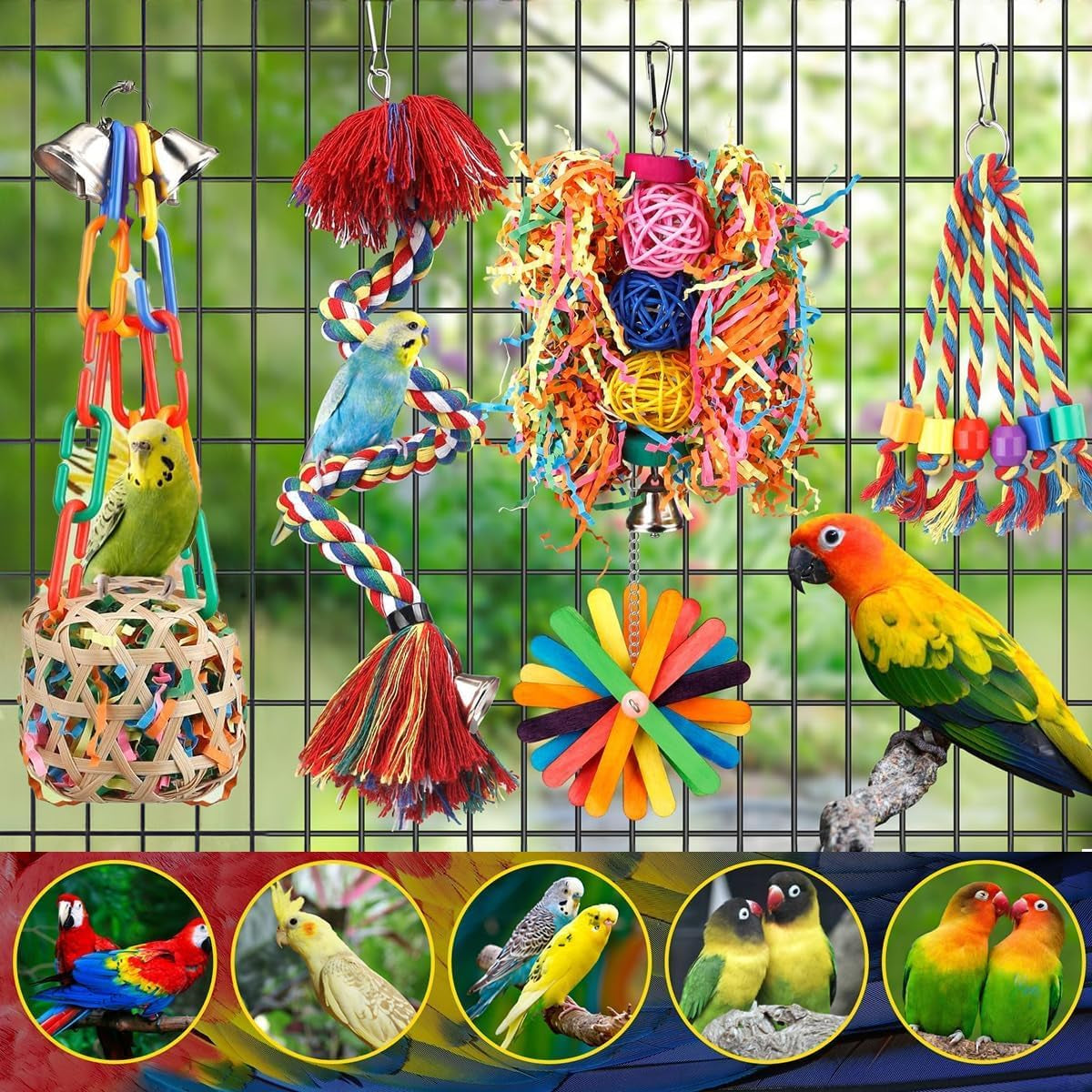 6 Pack Bird Toys for Parakeet, Parrot & Conure Delights- Featuring Foraging and Chewing Delights, Large Bird Accessories, and Unique Cage Perches for a Joyful Aviary