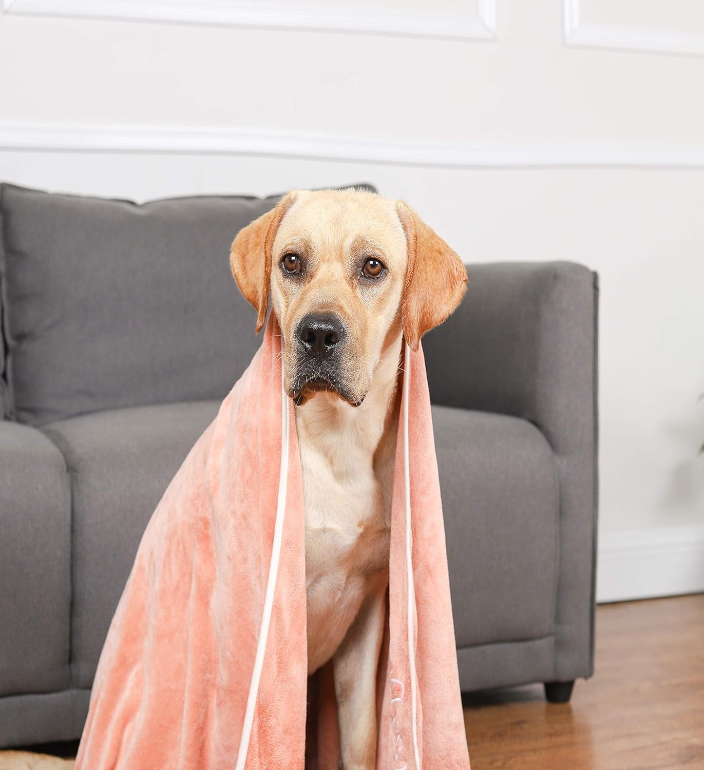 Dog Bath Puppy Supplies Dog Gifts for Small and Medium Dogs Supplies for Cleaning Puppy Microfiber for Small Dog Accessories for Small Dogs