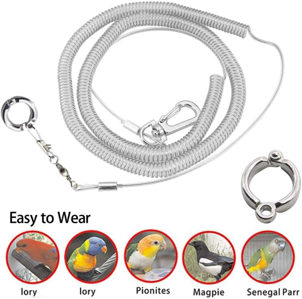 40 Pcs Pet Birds Flying Training Leash Rings Clips Pet Opening Foot Rings Clips Pigeon Leg Ring Parrot Ankle Rings Clips Bird Dove Parrot Foot Ring Parrot Flying Accessory Birds Supply,4 Sizes