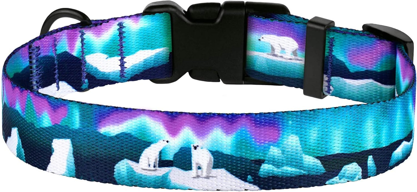 Adjustable Nylon Dog Collar โ Northern Lights Pattern for Small Dogs