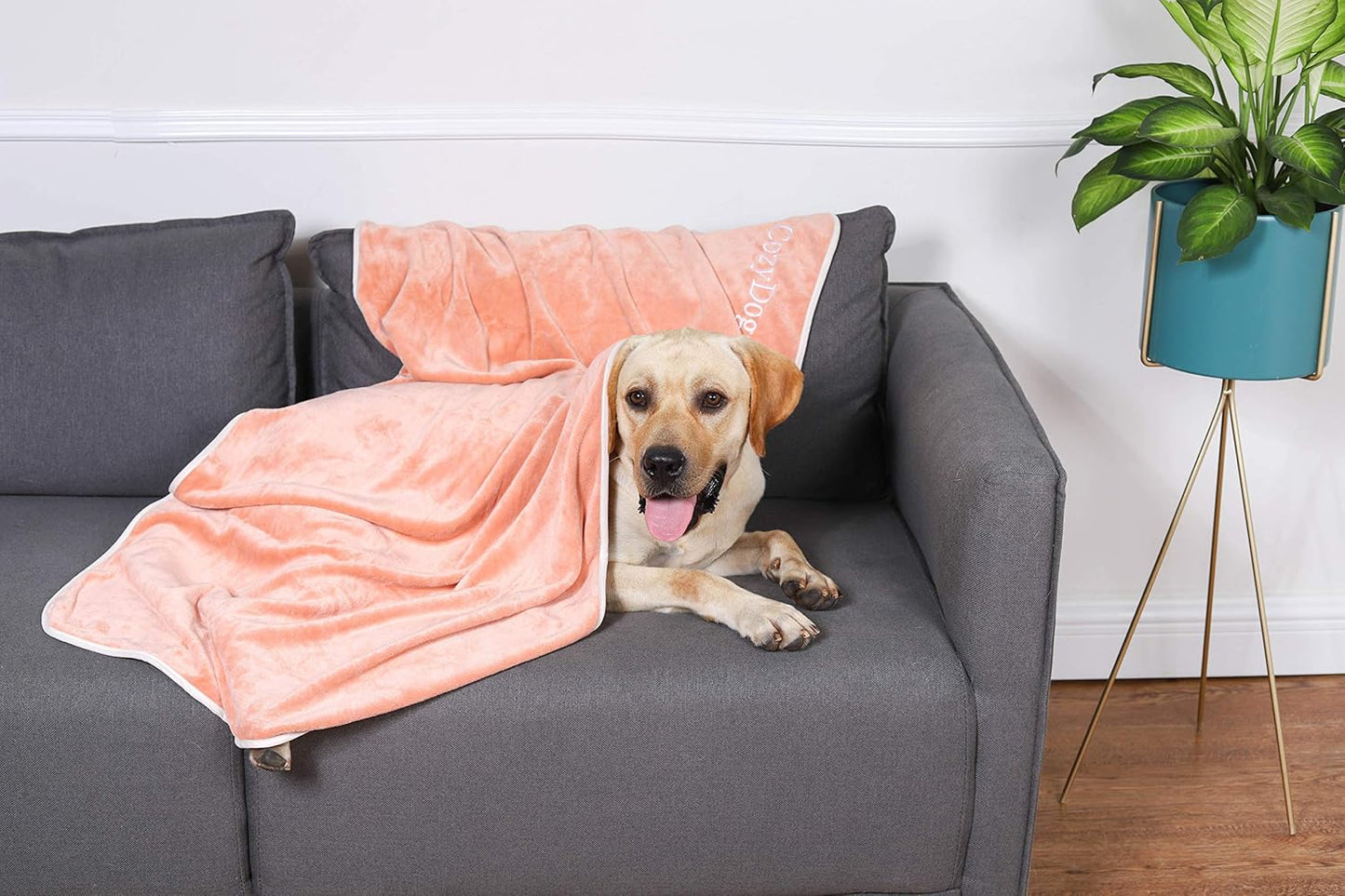 Dog Bath Puppy Supplies Dog Gifts for Small and Medium Dogs Supplies for Cleaning Puppy Microfiber for Small Dog Accessories for Small Dogs