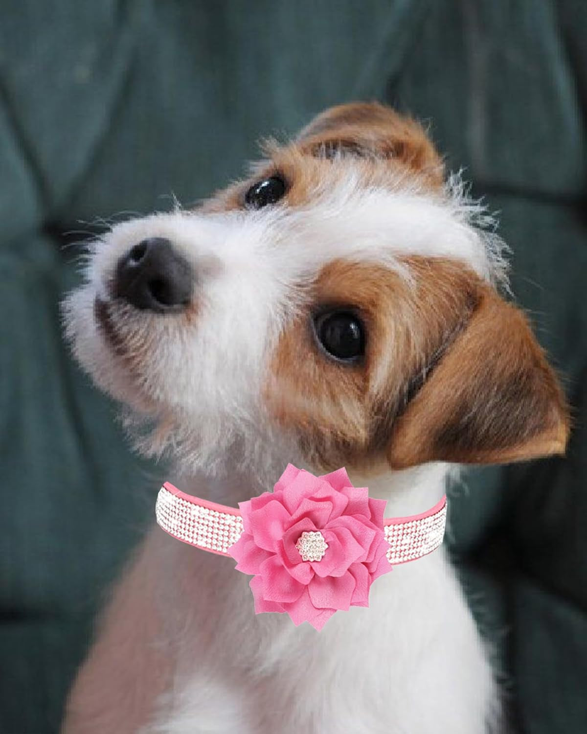 Rhinestone Dog Collar for Small Medium Dogs Pink XS Dog Collar for Girl Female D