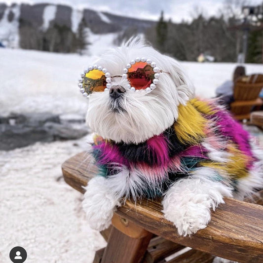 Pearl Dog Sunglasses – Stylish UV & Windproof Pet Glasses for Large Dogs (4.3")