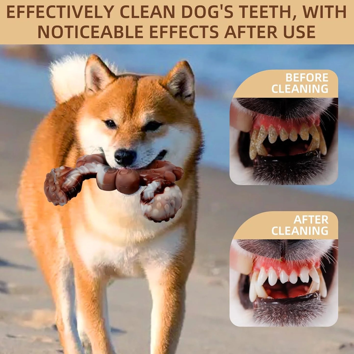 Dog Chew Toy for Aggressive Chewers – Tough & Interactive Bone for Medium to Large Dogs